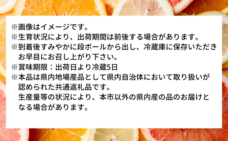 ハウス 小原紅早生 みかん 約2kg化粧箱 果物類 柑橘類 フルーツ