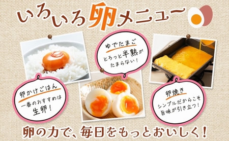埼玉県蓮田市 平飼い卵 30個入 Lサイズ 玉子 新鮮 濃厚 コク 卵黄 鶏卵 タマゴ ギフト 卵セット 贈り物 プレゼント 食品 食材 朝ごはん 家族 団らん 朝食 昼食 ランチ 贅沢 お弁当
