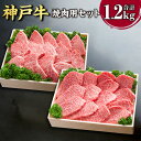 【ふるさと納税】神戸牛 焼肉用セット SOYS5 各600g 計1200g 1.2kg 牛肉 肉 お肉 神戸ビーフ ブランド牛 霜降り 焼肉 焼き肉 BBQ バーベキュー 肩ロース かたロース ロース モモ モモ肉 セット 冷凍 お取り寄せ 兵庫県 新温泉町 送料無料