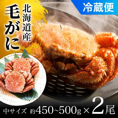 【2025年9月以降発送予定】毛がに中サイズ２ハイ（冷蔵） OSMA007【 ふるさと納税 人気 おすすめ ランキング かに カニ 蟹 毛ガニ 毛蟹 塩ゆで ボイル ゆでたて 冷蔵 鍋 パスタ かにめし 炊き込みご飯 かにみそ かに味噌 甲羅盛り 北海道 長万部町 送料無料 】