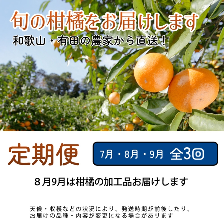 【定期便】厳選 柑橘定期便 S 3回（7～9月）※北海道・沖縄・離島への配送不可※7月・8月・9月に発送