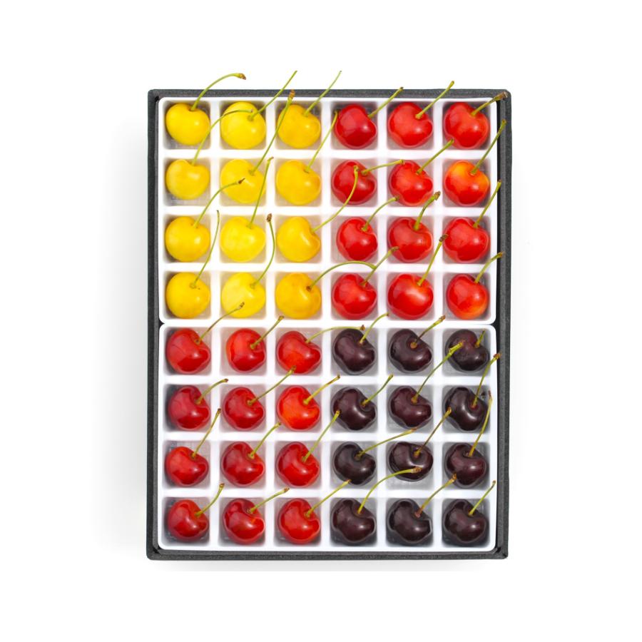 ＜大橋さくらんぼ園＞さくらんぼ4色スペシャル48粒（4種×12粒）