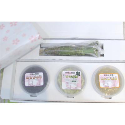 ふるさと納税 静岡市 【野櫻山葵漬】豊セット