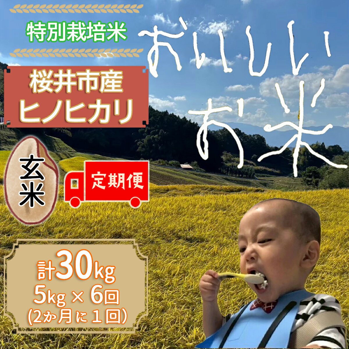 【ふるさと納税】＜特別栽培米＞桜井市高家産 ヒノヒカリ 5kg(玄米) 定期便（（隔月）全6回）／ブランド米 玄米 白米 奈良県産 桜井市産 奈良のお米 ひのひかり 藤本農園