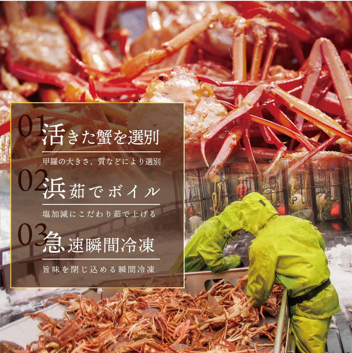 訳ありズワイ蟹 2尾（計1.4kg）【SS000HZ01】