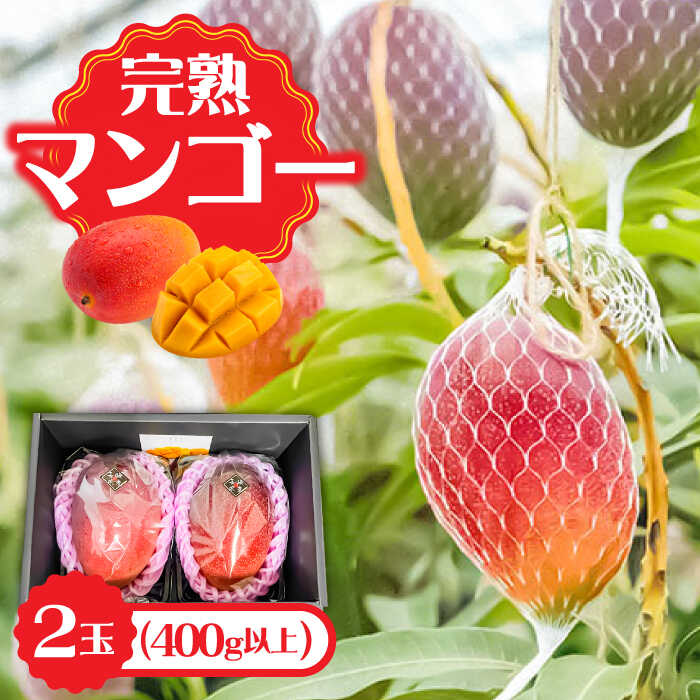 【ふるさと納税】【2026年7月〜発送】南島原産完熟マンゴー2玉 / 南島原市 / ながいけ[SCH064]