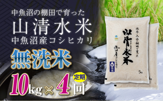 【定期便／全4回】無洗米10kg 新潟県魚沼産コシヒカリ「山清水米」 
