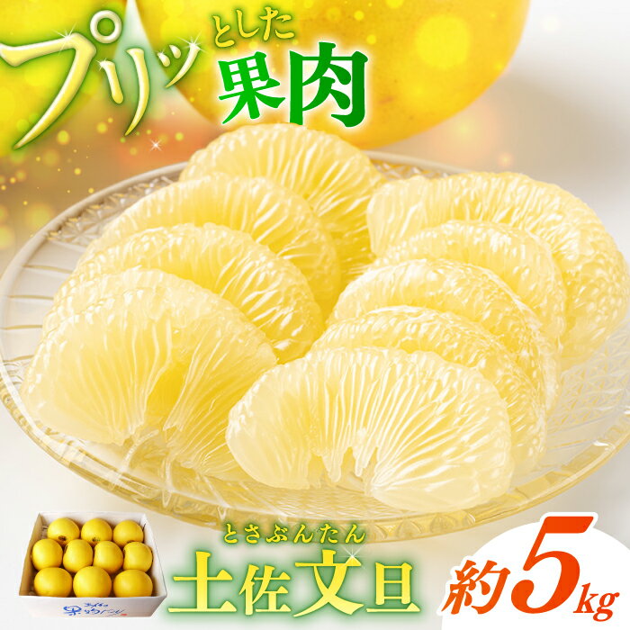 【ふるさと納税】【先行予約】 よりすぐりの土佐文旦 約5kg（2Lサイズ 10〜11玉程度）〈2027年2月初旬〜2027年4月中旬頃発送〉 / 文旦 土佐文旦 5kg 2L 10玉 11玉 大玉 柑橘 果物 フルーツ デザート 季節限定 期間限定 【L＋武田青果】 [ATIT007]