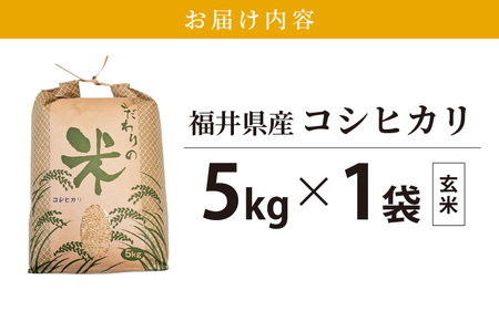 【新米】 令和7年産 コシヒカリ 5kg 福井県産【玄米】【お米 こしひかり 5キロ 人気品種】 [e30-a096]