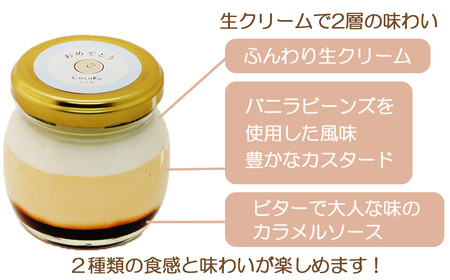 CocoRoプリン6個セット（ギフト包装＋メッセージシール「おめでとう」）【 茨城県 つくば市 スイーツ お菓子 デザート ギフト プリン プリン プリン プリン プリン 】
