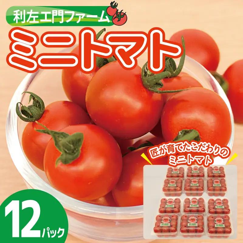 泉州産 新鮮ミニトマト 12パック 約2kg