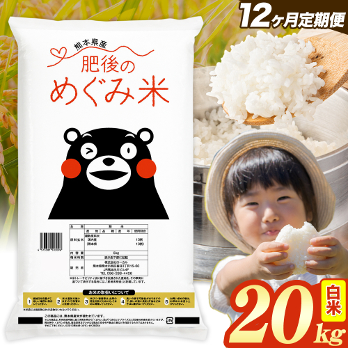 【12ヶ月定期便】白米 熊本県産 ブレンド米 肥後のめぐみ米 20kg 熊本県産 ふるさと納税 精米 米 こめ ふるさとのうぜい コメ お米 おこめ《お申込み翌月から出荷》