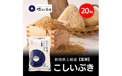
                  令和8年産 新潟県上越産 こしいぶき 20kg 20キロ（5kg×4）【玄米】 新米 おおた農場 上越市
                