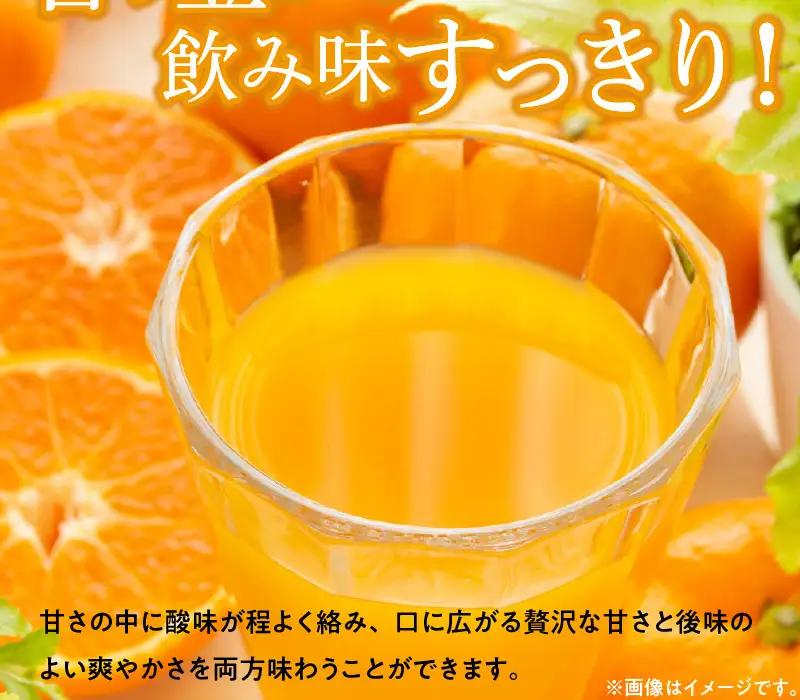 みかんジュース 1L × 2本「ゆら絞りみかん 無添加」_DG6016n