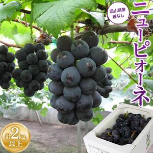 ぶどう 2026年 ご家庭用 ニュー ピオーネ 合計2kg以上 産地直送 ぶどう ピオーネ