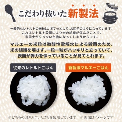 【2ヵ月毎定期便】パックごはん 3個入り(1個200g)×12セット36食入コシヒカリ(特)　全3回【4059860】