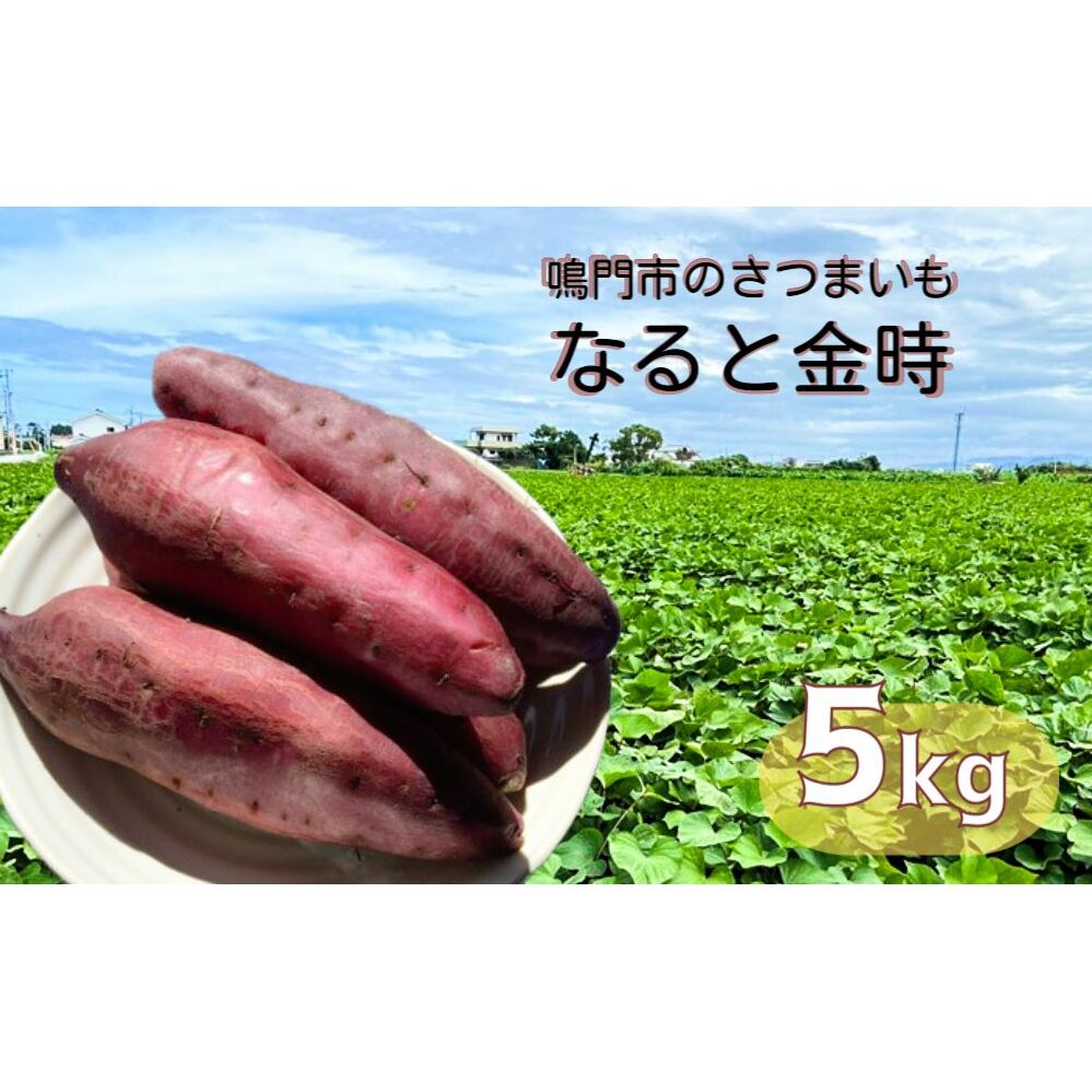 本場・徳島県鳴門市産「 なると金時 」約5kg【数量限定】 鳴門金時 ほくほく 甘い 熟成 国産 産地直送 スイーツ おやつ 天ぷら 干し芋 ギフト