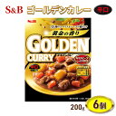 【ふるさと納税】エスビー食品 S＆B ゴールデンカレーレトルト 辛口 1セット（6個）　【上田市】