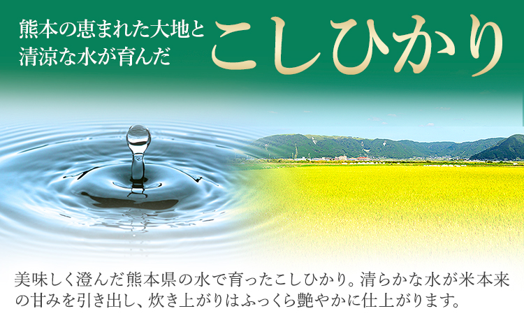 【12ヶ月定期便】令和7年産 定期便 こしひかり 20kg  無洗米 阿蘇 うぶやま 米 定期便 熊本県産 ふるさと納税 精米 ひの 米 こめ ふるさとのうぜい コシヒカリ コメ お米 おこめ《お申込