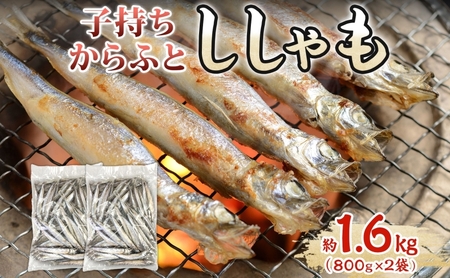 ししゃも 子持ち樺太ししゃも メス干物 ししゃも【約1.6kg(800g×2)】
