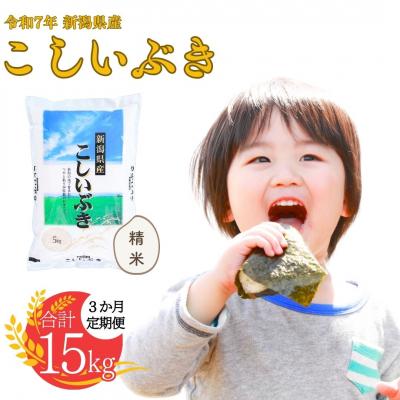 ふるさと納税 三条市 新米 [定期便] 新潟県産こしいぶき 5kg3か月 精米 令和7年産 白熊【016S008】