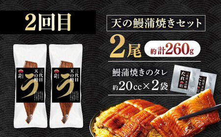 【3回定期便】人気！カツオとうなぎ 食べ比べ定期便　約4名分 /カツオ うなぎ 鰹 刺身 海鮮 鰻蒲焼き【株式会社土佐料理司】[ATAD080]