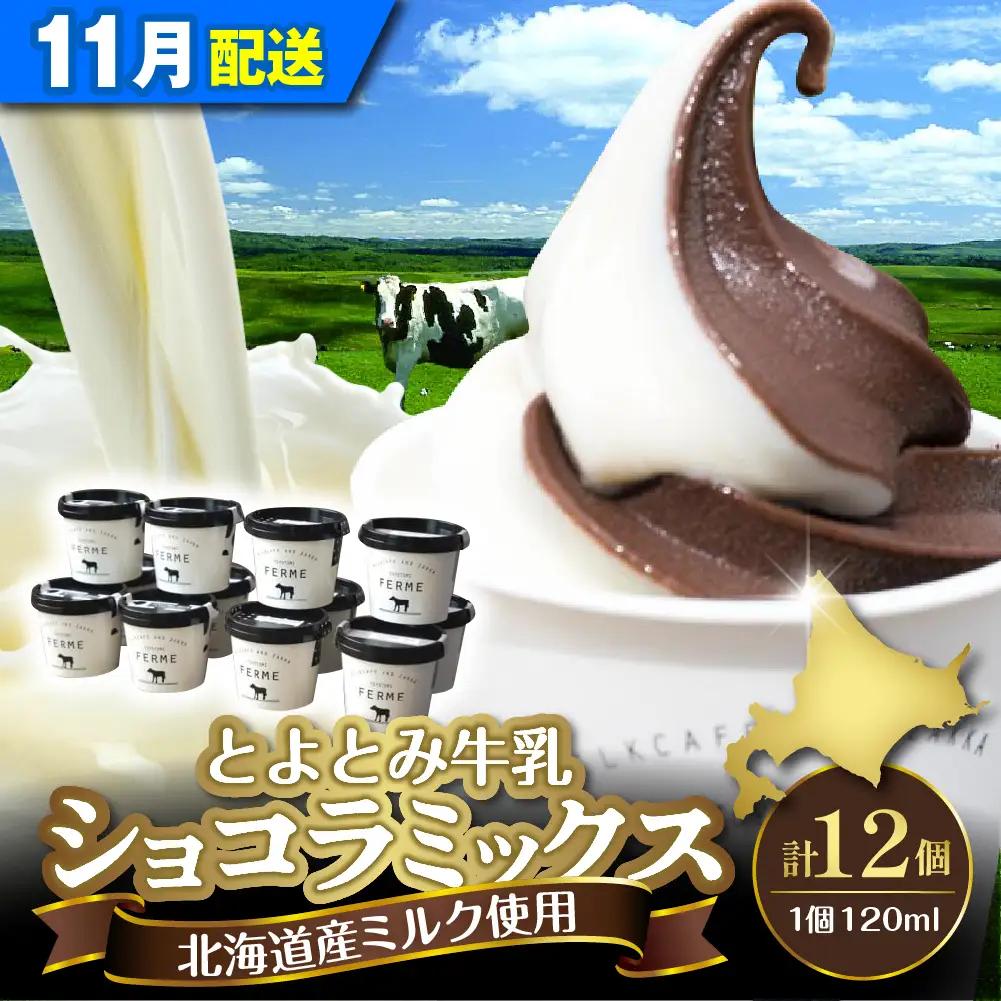 【11月配送】とよとみ牛乳ソフトクリーム ショコラミックス 12個
