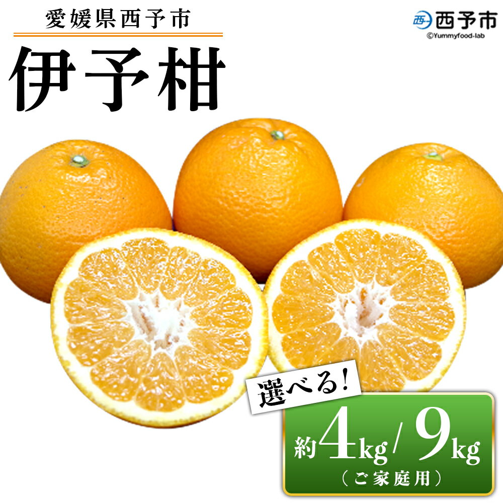 【ふるさと納税】＜愛媛県西予市産 伊予柑 ご家庭用 約4kg／9kg＞ 訳あり 果物 くだもの フルーツ みかん ミカン オレンジ 柑橘 イヨカン いよかん 選べる 食べて応援 特産品 宇都宮物産 愛媛県 西予市【常温】『2026年1月上旬～2月下旬迄に順次出荷予定』