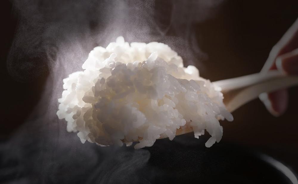 【令和7年産新米予約】この一粒に愛をこめて【四代目田中の最高傑作品】精米10kg【2025年9月中旬より順次発送予定】