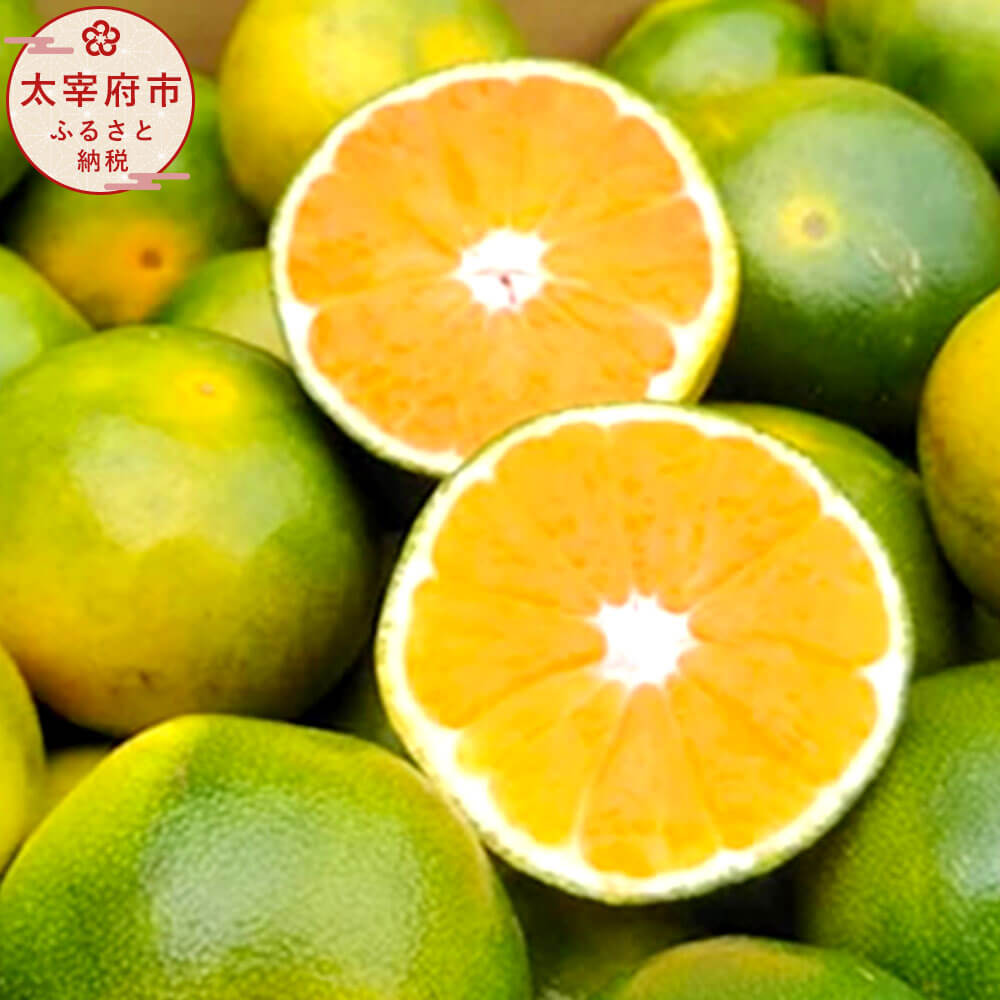 【ふるさと納税】【予約】福岡県産 極早生みかん・早味かん 約4kg【2025年9月上旬～9月下旬発送予定】 みかん ミカン 早生みかん 早味かん 果物 くだもの フルーツ デザート スイーツ 送料無料