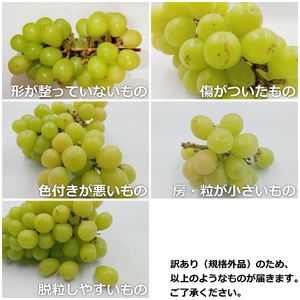 【2024年9月～10月発送分先行受付】山形のぶどう(ご家庭用訳ありシャインマスカット)約2kg（3～10房）_H196(R6)