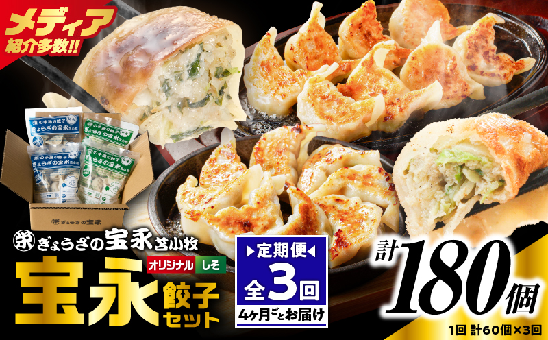 【全3回定期便（4ヶ月毎）】ぎょうざの宝永 しそ餃子セット（宝永餃子 15個入×2袋＆しそ餃子 15個入×2袋）合計1.5kg　T004-T04-01