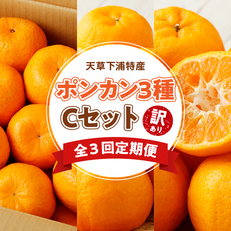S040-T07_【定期便3回】天草 下浦特産ポンカン3種Cセット（訳あり）【先行受付】