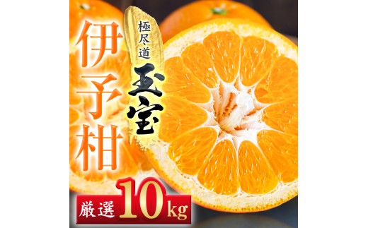 ＜愛媛名産＞玉宝伊予柑　10kg＜F64-60＞【1510839】 YWTY049