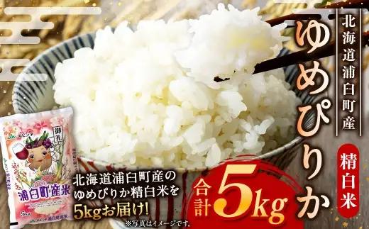 〈 令和8年産 〉 浦臼産ゆめぴりか 精白米 5kg × 1袋 お米 米 こめ コメ 白米 白飯 飯 ご飯 おにぎり 国産 北海道産 ブランド米 ブランド 粘り タンパク質 艶 【 2026年10月下旬より順次発送 】