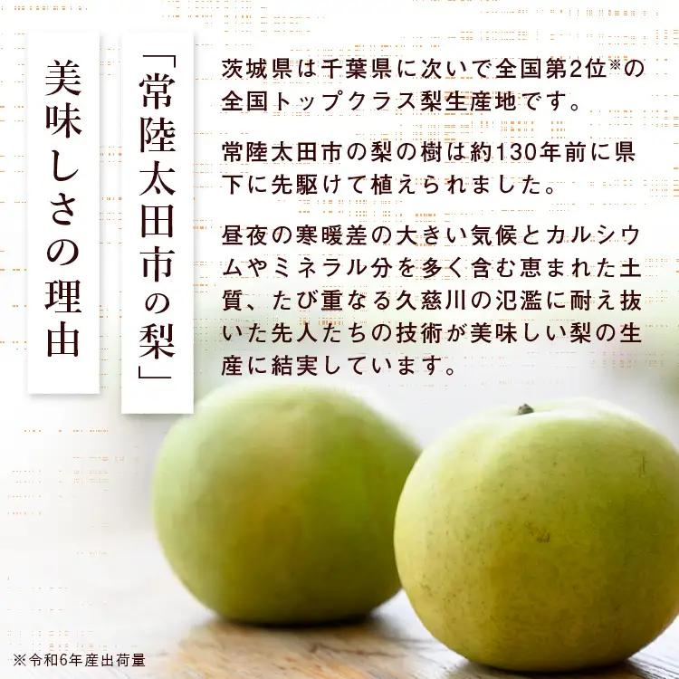 梨 食べ比べ 約5kg 3種類 梨