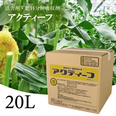 ふるさと納税 須崎市 肥料の吸収が良くなる!アクティーフ20L