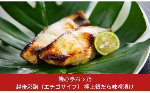 [餞心亭 おゝ乃]極上銀だら味噌漬け【020S017】