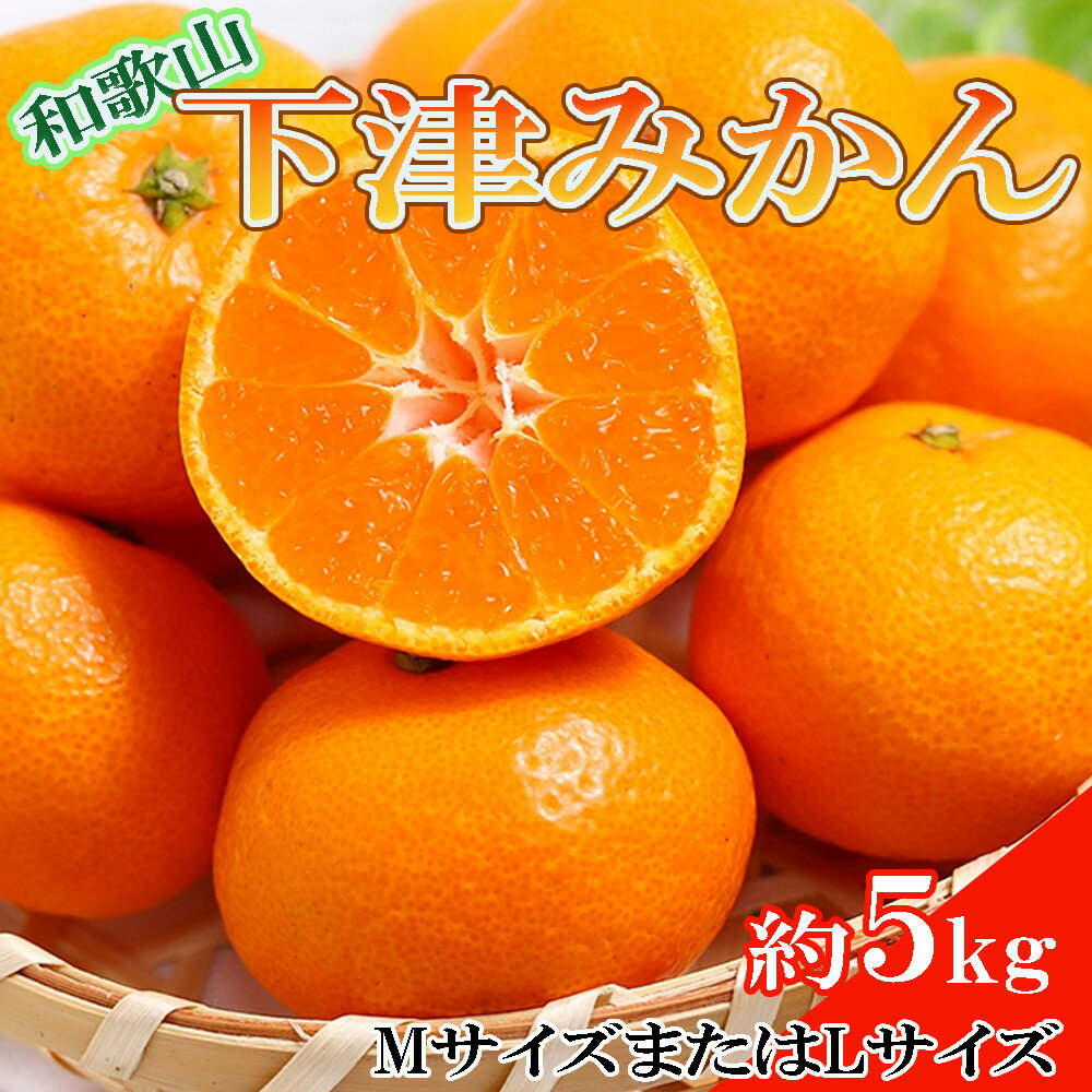 【ふるさと納税】［産直・秀品］和歌山下津みかん約5kg(MサイズまたはLサイズのいずれかをお届け) ★2026年11月中旬頃より順次発送［TM74］