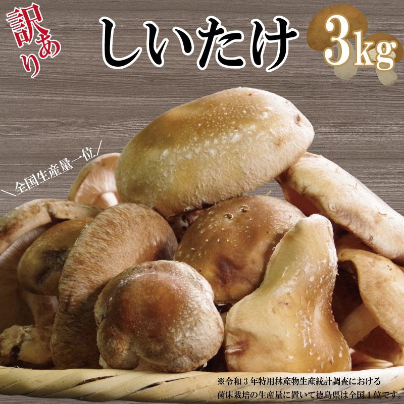 訳あり しいたけ 3kg 冷蔵 国産 徳島県 全国生産数1位 不揃い 規格外 椎茸 しいたけ きのこ 家庭用 おかず