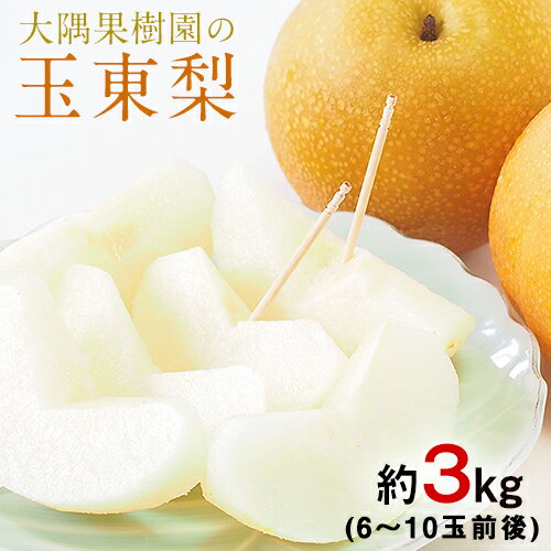 【ふるさと納税】【先行予約】大隅果樹園の玉東梨(旬の品種をお届けします)★約3kg(6-10玉前後) 予約受付中 フルーツ 秋 旬★熊本県玉名郡玉東町 《8月中旬-9月上旬頃出荷》