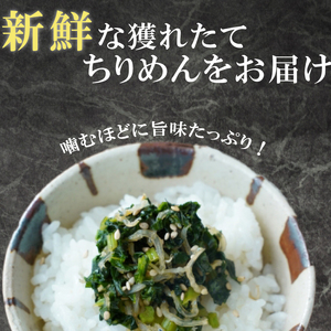 訳あり ちりめんじゃこ 冷凍 小分け 100g×5P ちりめん じゃこ 海鮮 海産物 ふりかけ 佃煮 つくだに 魚 海鮮 ごはん 米 しらす おやつ さかな ご飯のお供 海の幸 魚介類 チャーハン 乾
