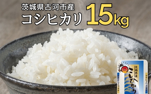【新米】令和7年産 古河市産コシヒカリ 15kg（5kg×3袋）| 米 こめ コメ 15キロ 精米 こしひかり 単一米 国産 古河市産 茨城県産 贈答 贈り物 プレゼント 茨城県 古河市 直送 農家直送 産地直送 着日指定可 お祝 ご褒美 取り寄せ お取り寄せ 記念品 景品 ※2025年9月上旬頃より順次発送予定 _DP21