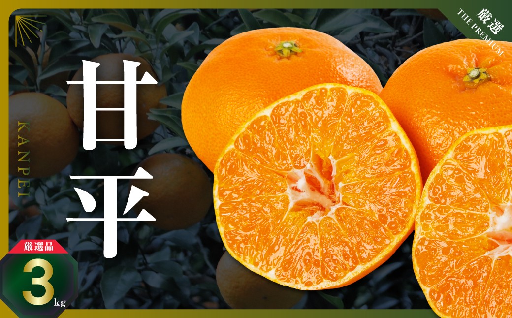 
                  三代目の甘平3kg＜C31-1＞【1042519】 YWTAC001
                