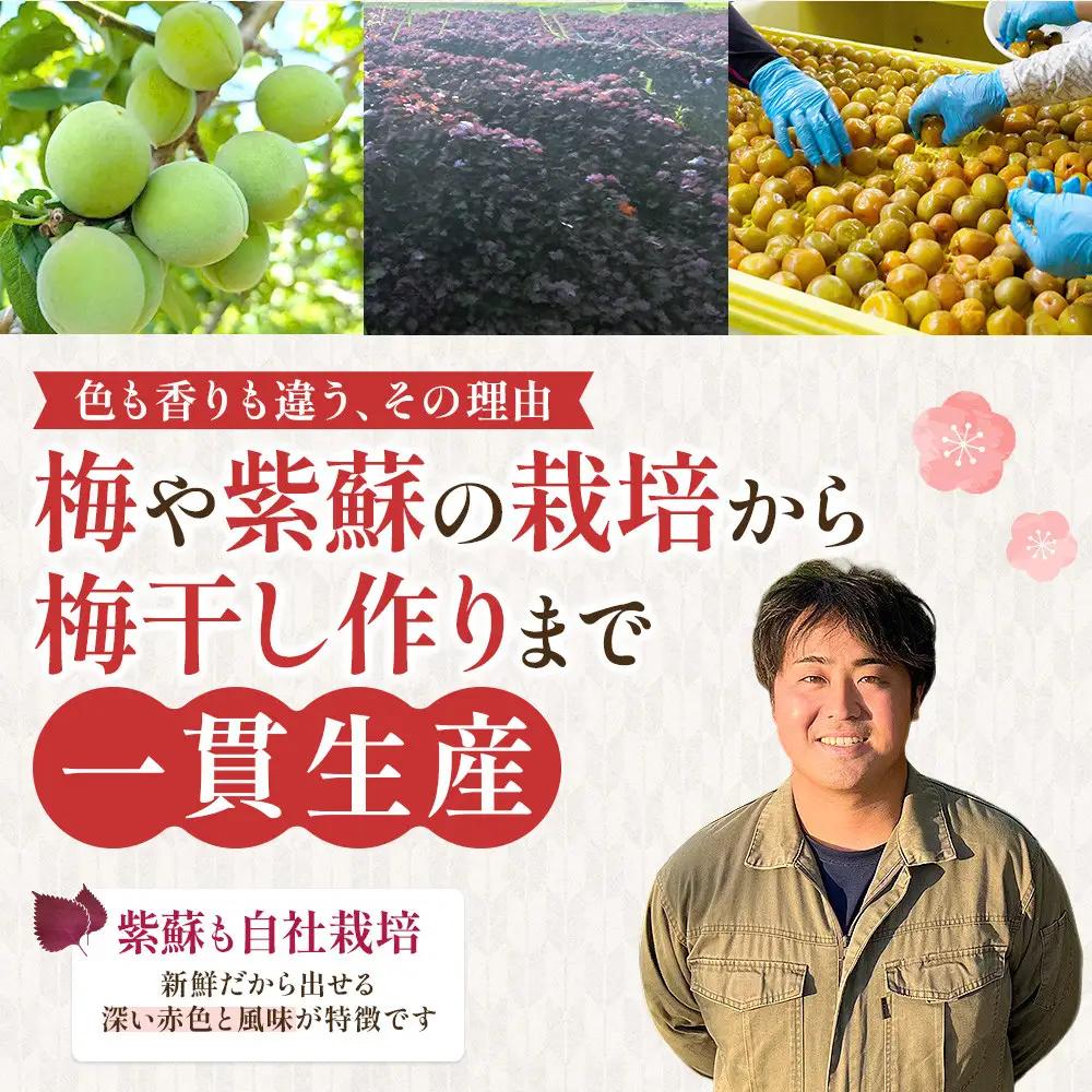 【先行予約】梅干し 800g 無添加 訳あり【10月上旬以降順次発送】わけあり 塩分 15 % 梅干 すっぱい しょっぱい まろやか 疲労回復 美味しい