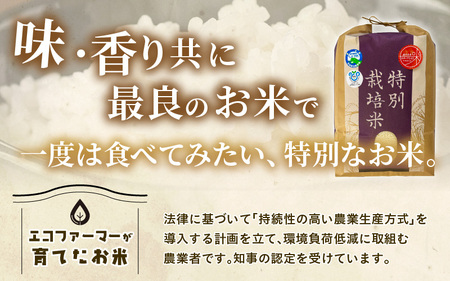 【令和7年産】化学肥料不使用 特別栽培米 ミルキープリンセス 精米 10kg × 1袋 / 白米 米 福井県あわら市産 美味しい 特別栽培米 減農薬 安心な米 旨味 甘み もっちり 冷蔵保管米 [aw