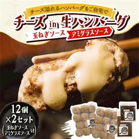 チーズ in 生ハンバーグ 12個×2(玉ねぎソース150g、デミグラスソース250g 各1個)【配送不可地域：離島】【1673880】