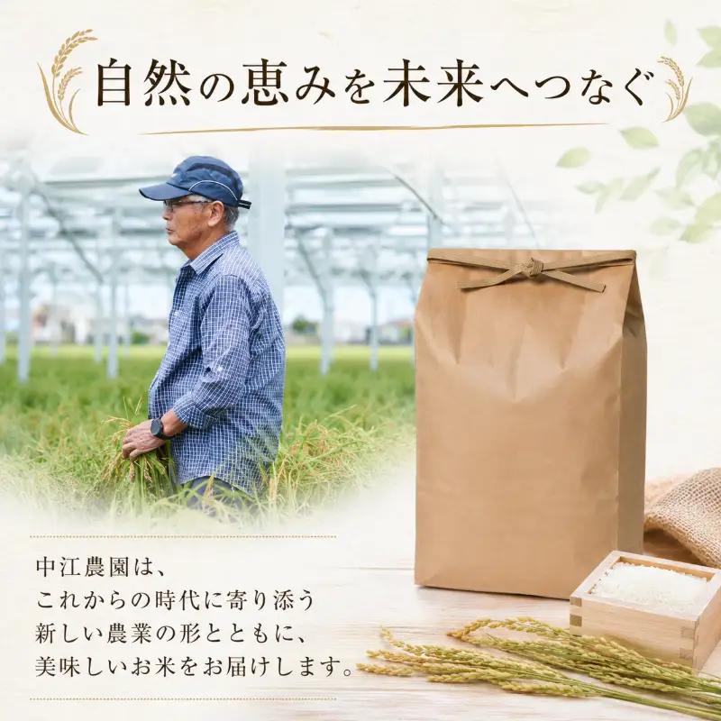 令和7年産 コシヒカリ 5kg 白米 米 数量 限定 こしひかり 5キロ 米5kg おにぎり