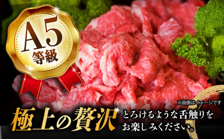 【3回定期便】【飛騨牛】A5等級切り落とし 500g [TAZ012]飛騨牛 切り落とし