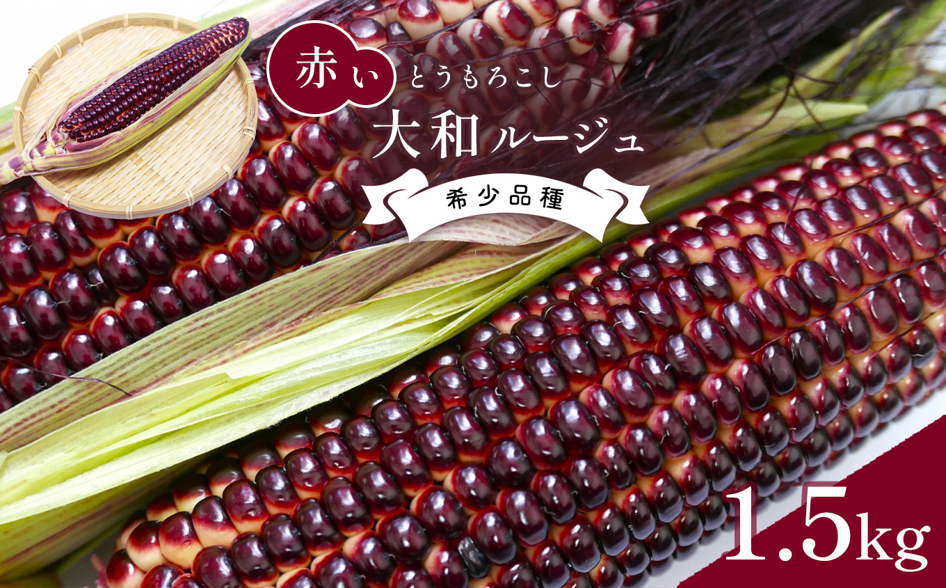 
大和ルージュ 赤い とうもろこし 約 1.5kg
